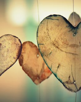 heart-700141_1920